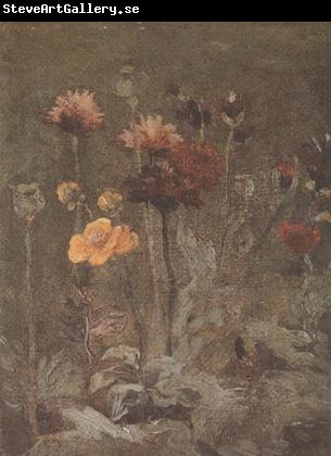 Vincent Van Gogh Still life with Scabiosa and Ranunculus (nn04)